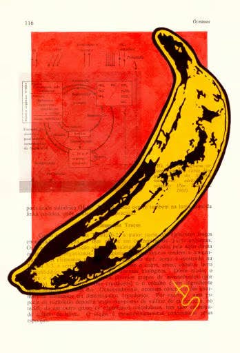 Banana POP IDS