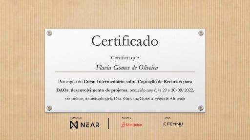 Fundraising Intermediate Workshop Certificate - Flavia Gomes de Oliveira